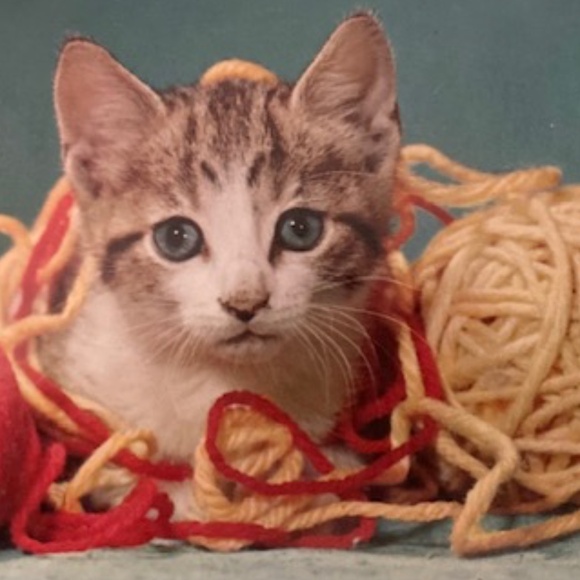 Fuchsia Turtleneck Sweater 🆕 - Picture 10 of 10